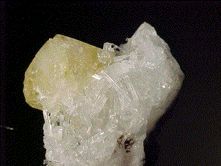 Powellite on scolecite